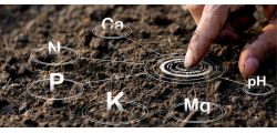 Анализ почвы - Стандарт