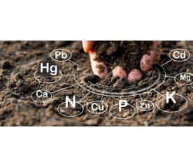 Анализ почвы - Расширенный